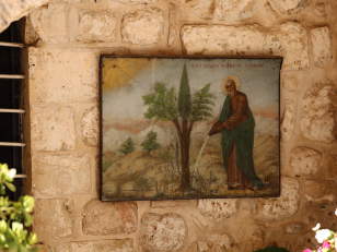 წმინდა ლოტი <br>
ქეთევან ასათიანის ფოტო, 2026 წელი. <br>
Saint Job the Righteous <br>
Photo by Ketevan Asatiani, 2026.

<!DOCTYPE html>
<html lang="ka">
<head>
<meta charset="UTF-8">
<style>
.photo-wrapper {
    position: relative;
}

.details-btn {
    position: absolute; 
    left: 15px;   
    bottom: 90px; 
    background: rgba(0,0,0,0.75);
    color: white;
    padding: 10px 18px;
    border-radius: 22px;
    font-weight: bold;
    cursor: pointer;
    z-index: 10;
}

.details-btn:hover {
    background: white;
    color: black;
}

.fullscreen-overlay {
    position: fixed;
    inset: 0;
    background: rgba(0,0,0,0.7);
    color: white;
    display: none;
    z-index: 9999;
    overflow-y: auto;
}

.fullscreen-overlay.active {
    display: block;
}

.overlay-content {
    max-width: 900px;
    margin: 90px auto;
    padding: 20px;
    line-height: 1.8;
    text-align: center;
   font-family: 'Noto Sans Georgian', sans-serif;
}

.overlay-content h2 {
    color: #ffcc00;
    margin-bottom: 12px;
    font-size: 28px;
}

.overlay-content h3 {
    color: #dddddd;
    margin-bottom: 30px;
    font-weight: normal;
    font-size: 22px;
}

.overlay-content p {
    font-size: 18px;
    margin-bottom: 28px;
}

.close-btn {
    position: fixed;
    top: 20px;
    right: 20px;
    background: #ffcc00;
    border: none;
    padding: 12px 20px;
    font-weight: bold;
    border-radius: 6px;
    cursor: pointer;
    font-size: 16px;
}
</style>
</head>
<body>

<div class="photo-wrapper">
    <div class="details-btn" onclick="openDetails()">დეტალურად</div>
</div>

<div class="fullscreen-overlay" id="annotation">
    <button class="close-btn" onclick="closeDetails()">დახურვა</button>

    <div class="overlay-content">
        <h2>მონასტრის ისტორია</h2>
        <h3>History of the Monastery</h3>

        <p>
        მონასტრის ისტორია უკავშირდება იმ ადგილს რომელზეც ოდესღაც იზრდებოდა ხე, რომელიც რომაელებმა ქრისტეს ჯვარზე გასაკრავად გამოიყენეს. ამ ხის ისტორიაზე მოგვითხრობს ერთი სირიული აპოკრიფული წერილი: როდესაც ლოთი დაეცა თავის შვილებთან, ღვთისგან შენდობის ნიშნად აბრაამმა მას გადასცა სამი ხმელი ტოტი: ფიჭვის, ნაძვისა და სოჭის. ლოტს უნდა მოერწყა ეს ტოტები და, ღვთისგან პატიების ნიშნად, ერთი ხე აყვავდებოდა, ზუსტად ასე მოხდა: აქ ამოვიდა ხე, რომელიც მოჭრეს სოლომონის ტაძრის მშენებლობის დროს, მაგრამ, მერე დაიწუნეს და გადეს მდინარეზე, როგორც ხიდი. ღვთის განგებულებით სწორედ ამ ხისგან დამზადებულ ჯვარზე გააკრეს მაცხოვარი. ჯვრის მონასტერში შემონახულია ადგილი, სადაც ეს ხე გაიზარდა.
        </p>

        <p>
        The history of the monastery is connected to the place where a tree once grew, which the Romans used to make the cross on which Christ was crucified. The story of this tree is told in a Syriac apocryphal text: when Lot fell with his daughters, as a sign of God’s forgiveness Abraham gave him three dry branches — of pine, fir, and cypress. Lot was to water these branches, and as a sign of divine pardon, one tree would bloom. This is exactly what happened: a tree grew here, which was later cut down during the construction of Solomon’s Temple, but was rejected and laid across a river as a bridge. By God’s providence, it was from this very tree that the cross on which the Savior was crucified was made. The Monastery of the Cross preserves the place where this tree once grew.
        </p>
    </div>
</div>

<script>
function openDetails() {
    document.getElementById('annotation').classList.add('active');
    document.body.style.overflow = 'hidden';
}

function closeDetails() {
    document.getElementById('annotation').classList.remove('active');
    document.body.style.overflow = '';
}
</script>

</body>
</html>