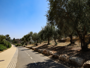 გზა იერუსალიმის ჯვრის ქართველთა მონასტრისკენ <br>
ქეთევან ასათიანის ფოტო, 2026 წელი. <br>
Road to the Georgian Monastery of the Cross in Jerusalem <br>
Photo by Ketevan Asatiani, 2026.