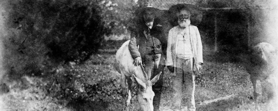 აკაკი წერეთელი და ნიკო ნიკოლაძე