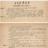 კანონი „შეიარაღებულ ძალთა მოწყობისა“, 1919 წლის 29 ივლისი