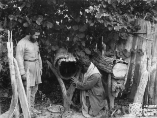 გურული მეფუტკრეები სკებთან<br>
კონსტანტინე ზანისის ფოტო  <br>
1900-იანი წლები  <br>
Gurian beekeepers at the beehives  <br>
Photo by Konstantin Zanis
1900s