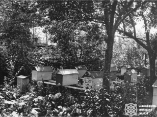 სკები ველისციხეში, კახეთი<br>
კონსტანტინე ზანისის ფოტო  <br>
1900-იანი წლები  <br>
Beehives in Velistsikhe, Kakheti <br>
Photo by Konstantin Zanis
1900s