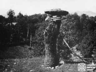 სკა გურიაში<br>
კონსტანტინე ზანისის ფოტო  <br>
1900-იანი წლები  <br>
Beehive in Guria <br>
Photo by Konstantin Zanis
1900s