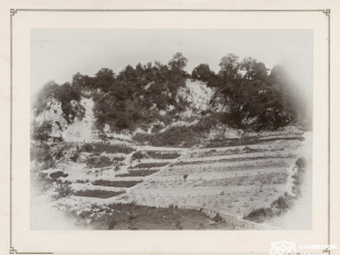 ტერასები ლიმონისა და ფორთოხლის ხეების დასარგავად, ახალი ათონი<br>
კონსტანტინე ზანისის ფოტო <br>
1900-1905 წლები <br>
Terraces for planting lemon and orange trees, New Athos<br>
Photo by Konstantin Zanis <br>
1900-1905