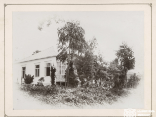 სოხუმის საცდელი სადგური, უფროსის სახლი<br>
კონსტანტინე ზანისის ფოტო <br>
1900-1905 წლები <br>
 <br>
Sokhumi experimental station, house of chief
Photo by Konstantin Zanis <br>
1900-1905