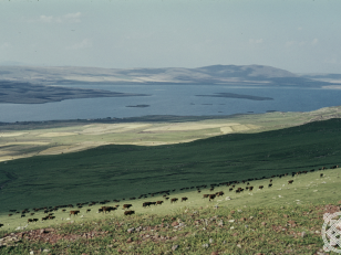 კარწაწიხ ტბა <br>
ტაო-კლარჯეთი <br>
ვანო ქიქოძის ფოტოკოლექცია <br>
[1950-1970]<br> 

Kartsakhi Lake<br>
Tao-Klarjeti<br>
From the Vano Kikodze's photo collection