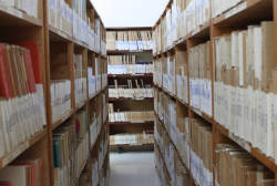The National Archive of Georgia was filled with new documents