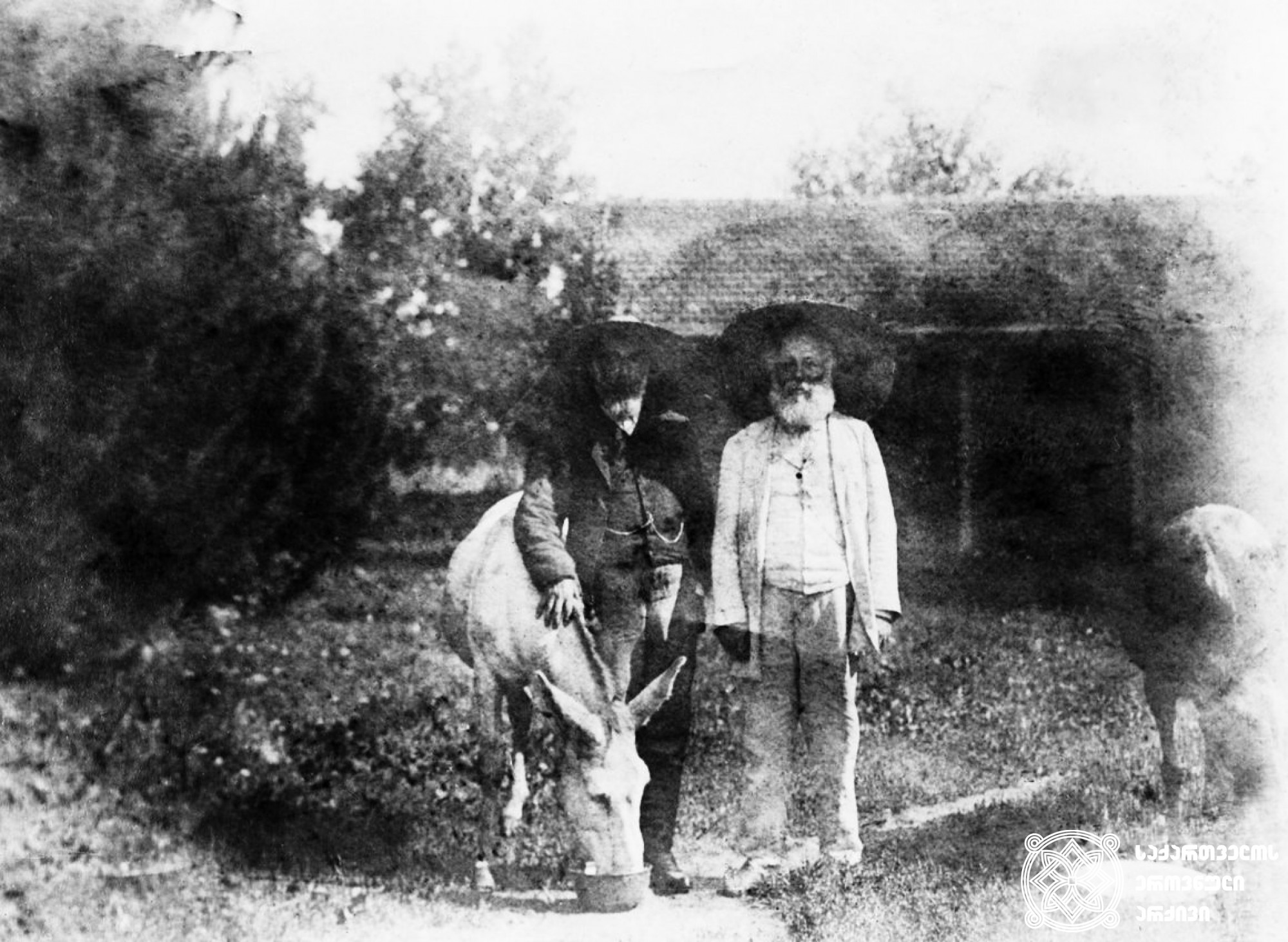 აკაკი წერეთელი და ნიკო ნიკოლაძე ეზოში წყალს ასმევენ სახედარს. <br>
დიდი ჯიხაიში, 1909 წელი. <br>