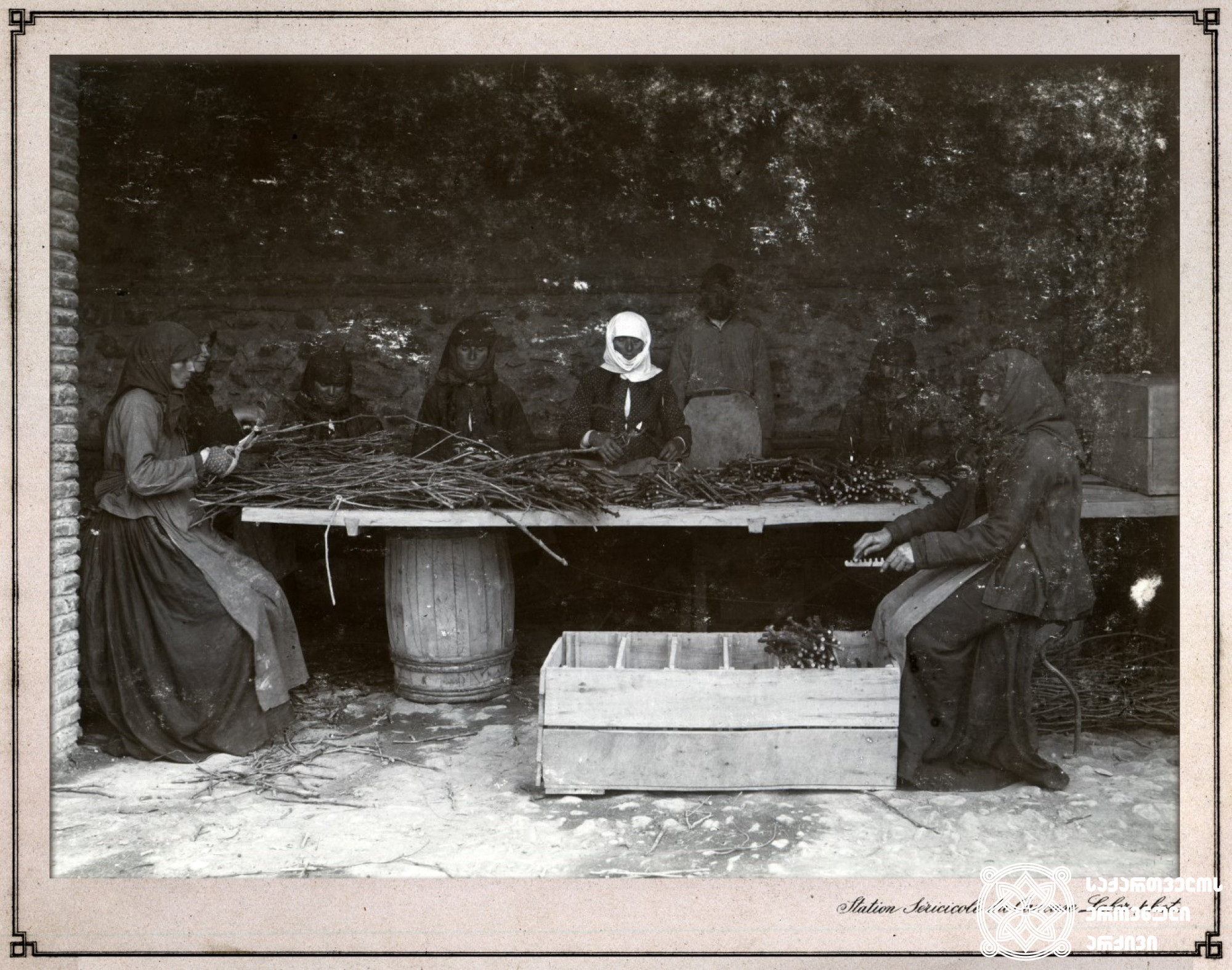 ქალები არჩევენ ლერწამს ვაზის დასამყნობად <br>
კახეთი, 1900-1905 წლები. ფოტო: კონსტანტინე ზანისი <br>

Women are choosing the reed for grafting <br>
Kakheti, 1900-1905 <br>
Photo by Konstantin Zanis