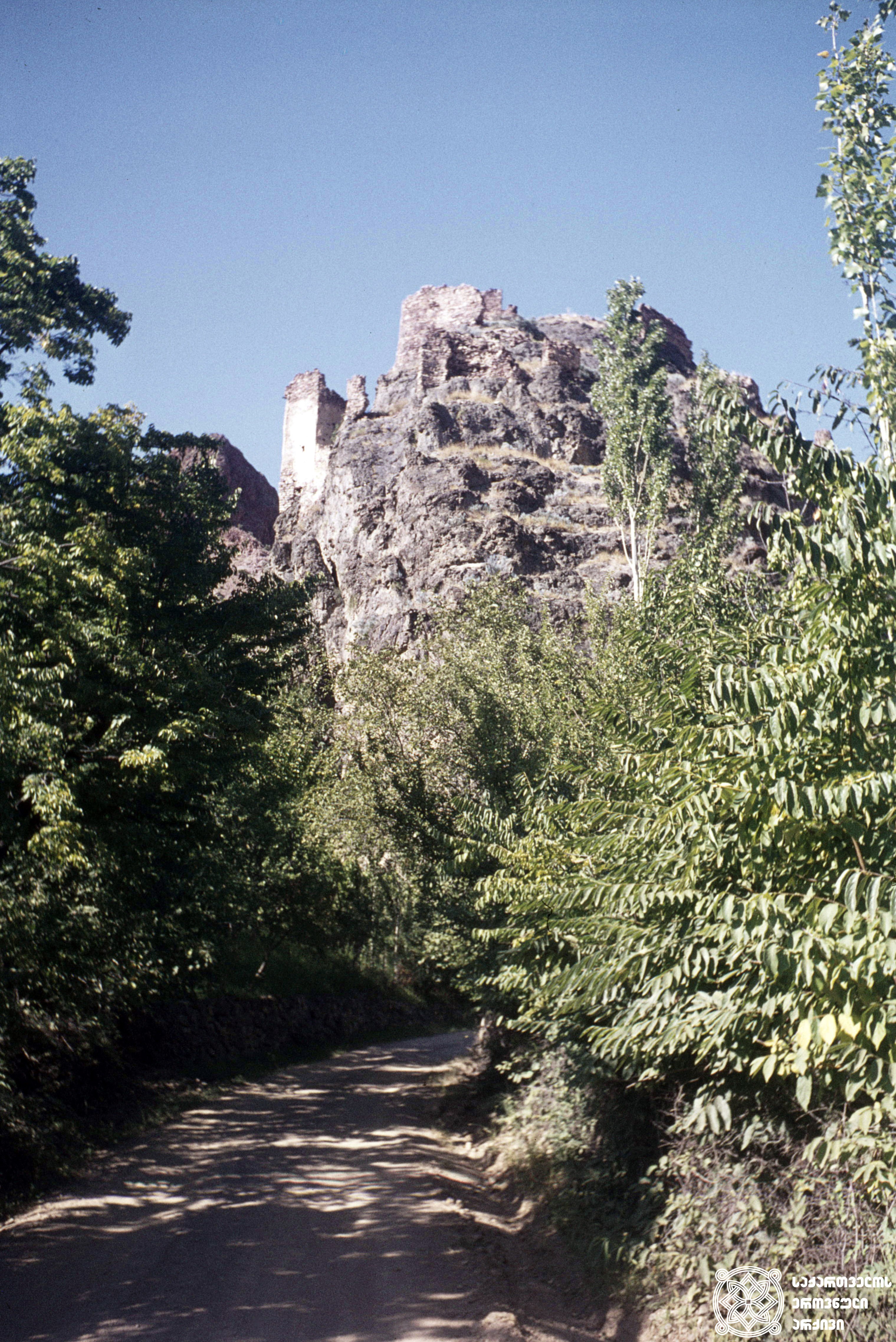 [1950-70-იანი წლები]
კავკასიძეების ციხე
<br>
[1950-70]
Kavkasidze castle