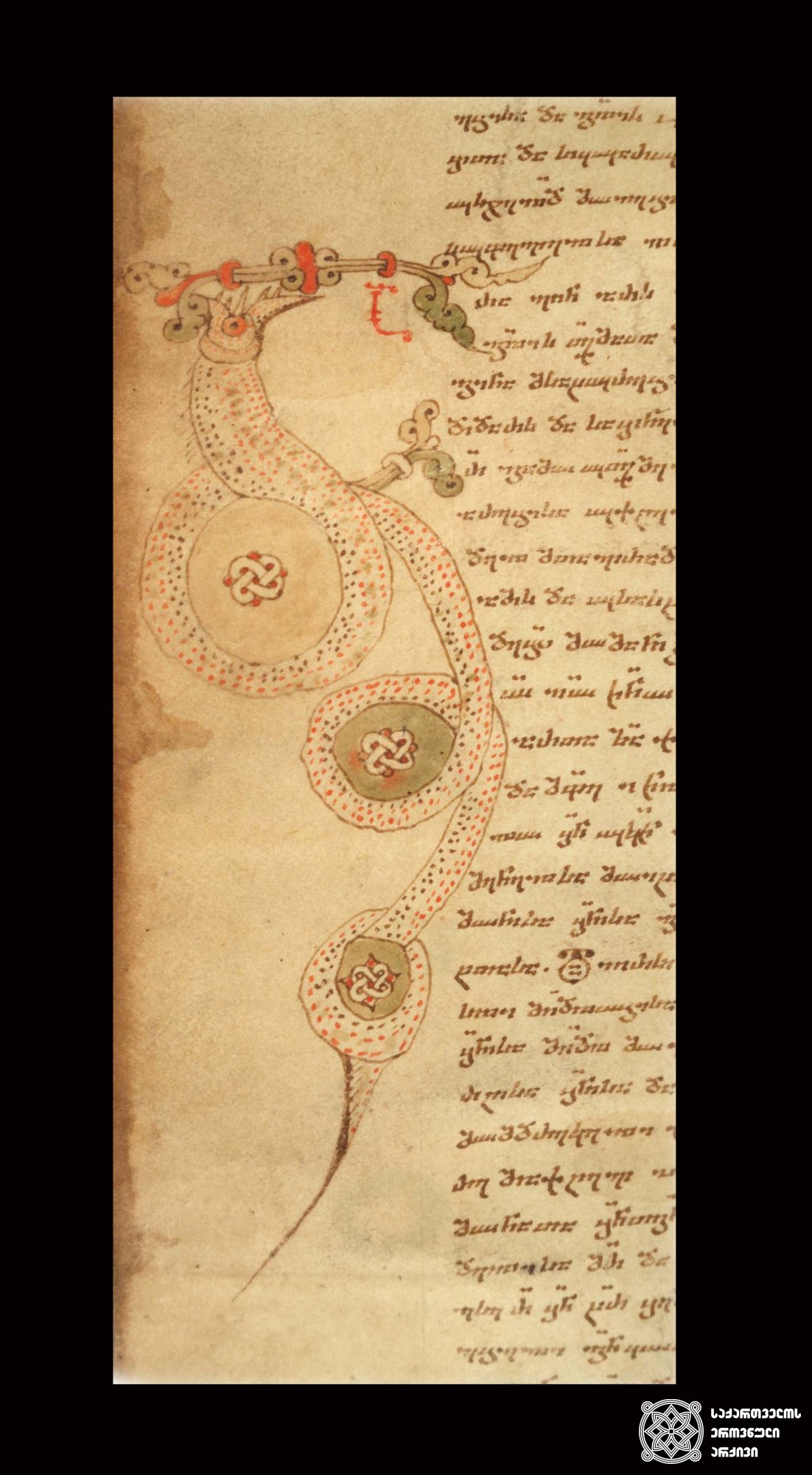 საზედაო ასო “ვ”. ნუსხური. კონდაკი, XV საუკუნე. <br>
The capital letter “V”. Nuskhuri script. Kontakion, 15th century.